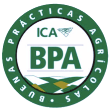certificación BPA-ICA