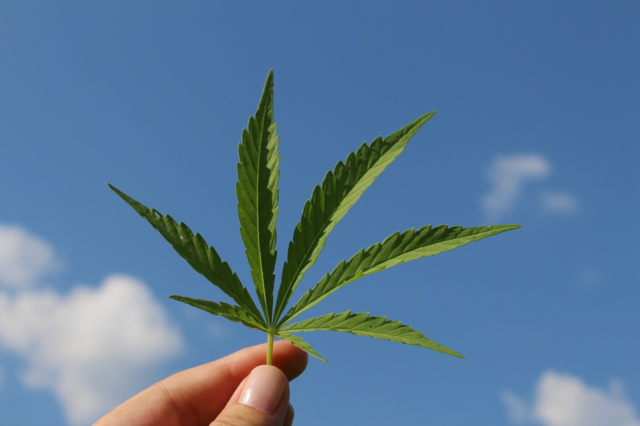 medical marijuana drops